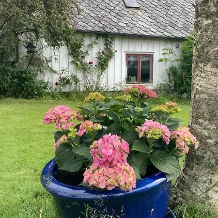 Shared Homestay Stavanger