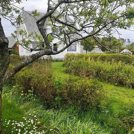Shared * Stavanger